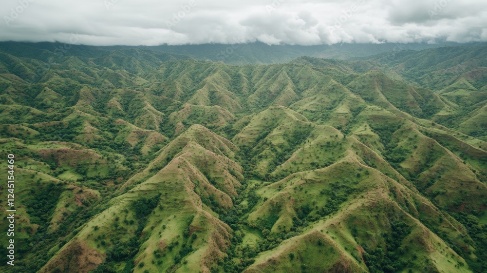 Fototapeta premium Aerial View Of Lush Green Mountain Range Under An Overcast Sky