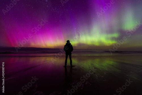 Obraz na plátně The stunning Southern Lights (aurora australis) over Dunedin, Otago Region, New Zealand
