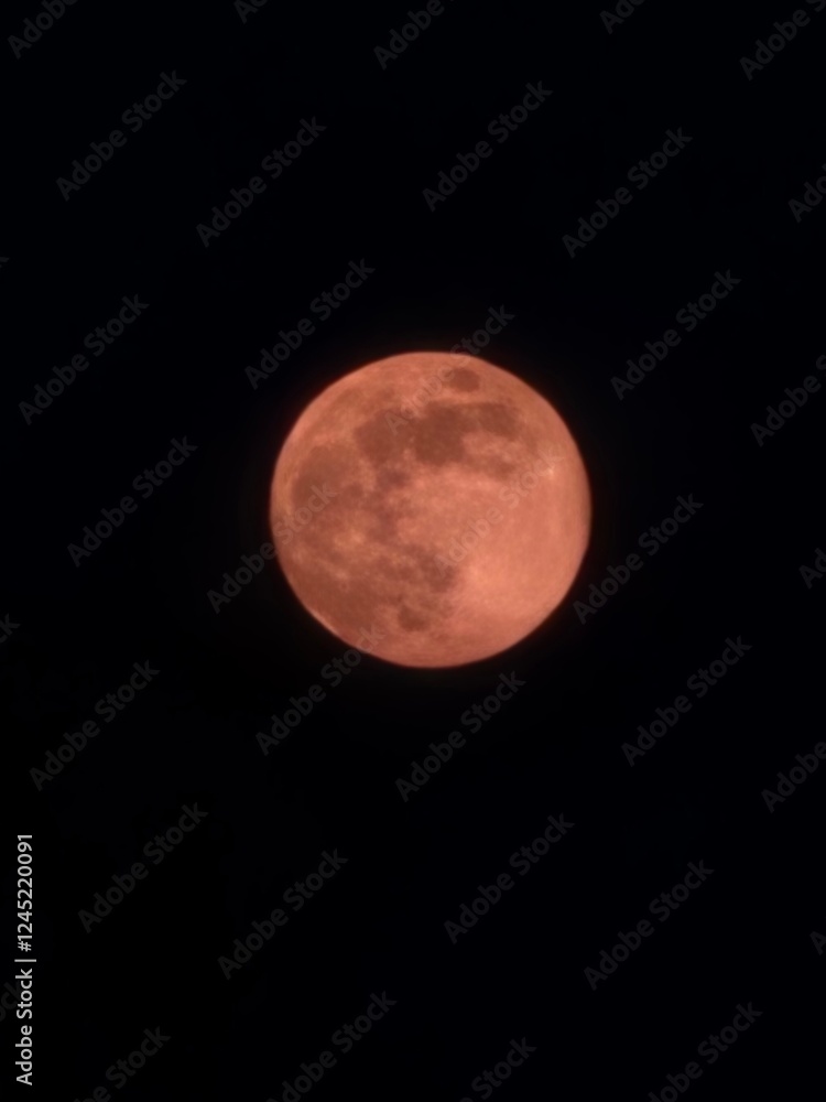 Fototapeta premium 내가 찍은 달