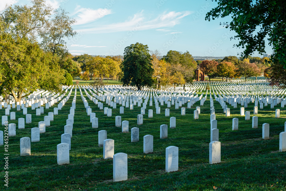 Rows of White Headstones in Arlington National Cemetery