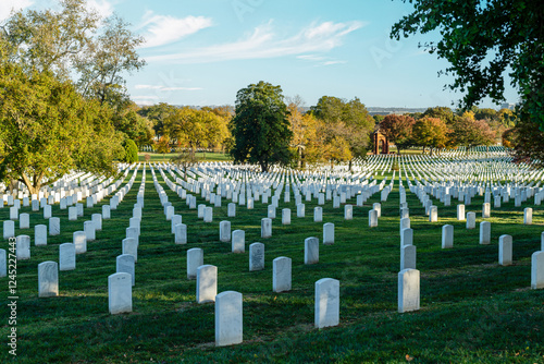 Obraz na płótnie Rows of White Headstones in Arlington National Cemetery w salonie