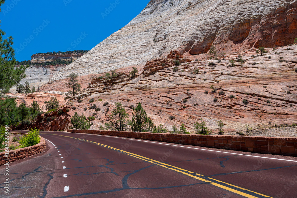 road in zion national park