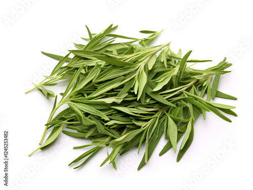 Fresh Rosemary Sprigs Isolated on White Background