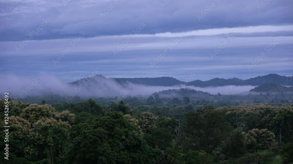 Greenery rainforest and hills on foggy day before sunrise Greenery rainforest and hills on foggy day before sunrise