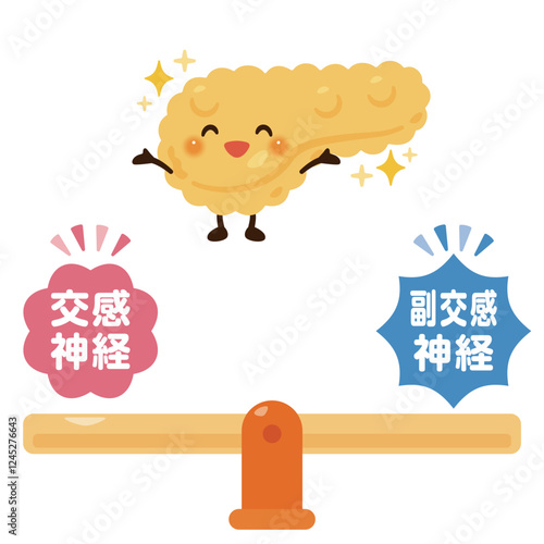 バランスの取れた自律神経と健康的な膵臓のキャラクターイラスト