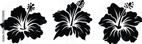 Hibiscus flower silhouette set vector illustration