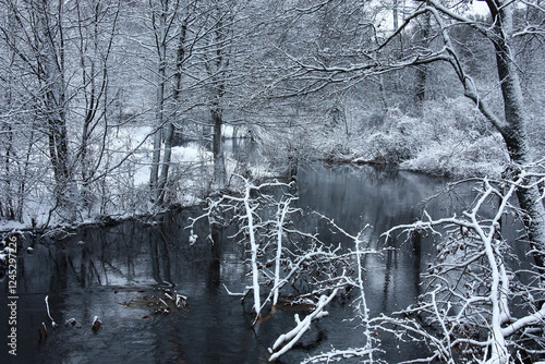 Winter frosty day. Dark water of the river Bolochanka and fresh white snow around. Contrast natural landscape. photo