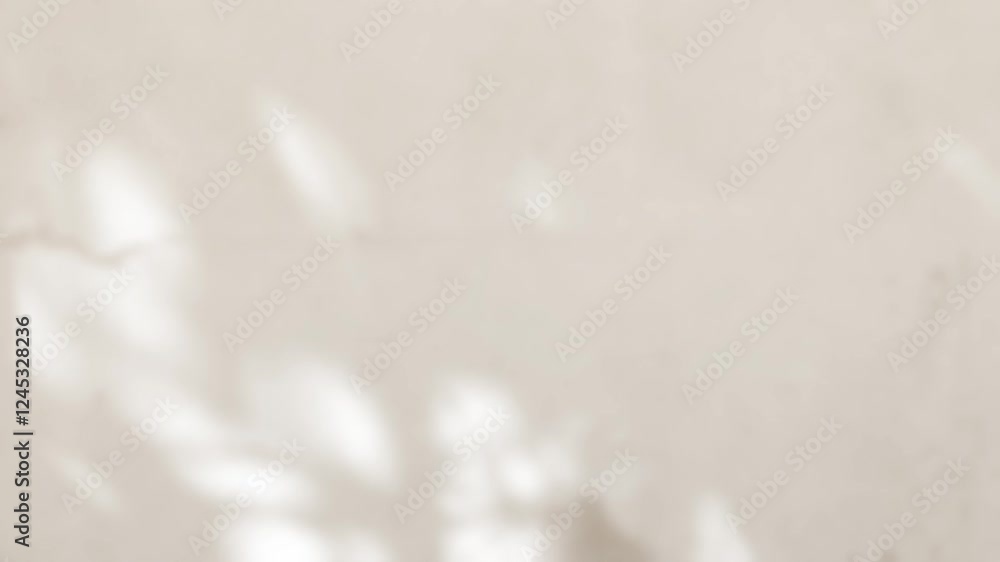 Shadow beige background wall light white overlay abstract plant 4k backdrop mockup minimal summer wallpaper, blur nature spring autumn video vintage branching floral, card holidays summer spring.