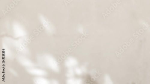 Shadow beige background wall light white overlay abstract plant 4k backdrop mockup minimal summer wallpaper, blur nature spring autumn video vintage branching floral, card holidays summer spring.