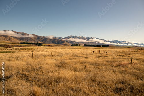 Obraz na plátně Agricultural pasture land  in the high country of the south island of NZ