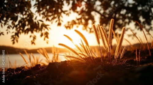 A wellness and self-care background image: a low-angle perspective, bathed in warm golden hour light, featuring natural earth tones like browns and beiges with muted colors, soft light of sun