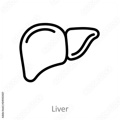 Liver