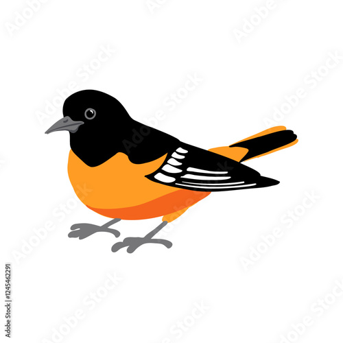 vector drawing bird,Baltimore oriole, hand drawn Icterus galbula, isolated nature design element