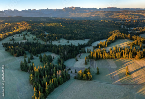 Łapszanka: Widok na Tatry Bielskie jesienią o poranku z lotu ptaka, drona photo