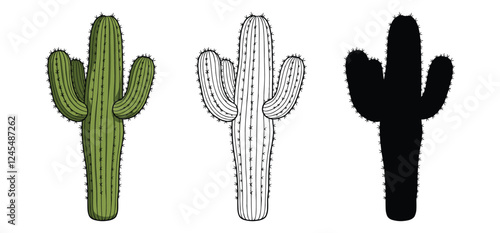 Desert Cactus vector and illustration, hand drawn style white background