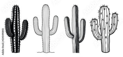 Desert Cactus vector and illustration, hand drawn style white background