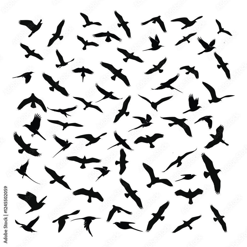 Flying Birds Silhouettes with white background Flying Birds Silhouettes with white background