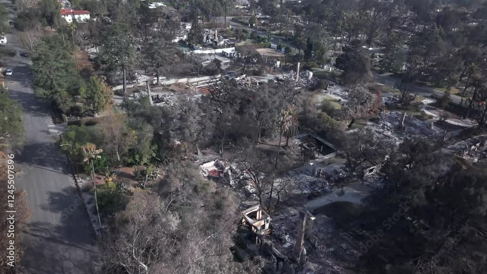 Entire residential neighborhood destroyed in January 2025 Los Angeles ...