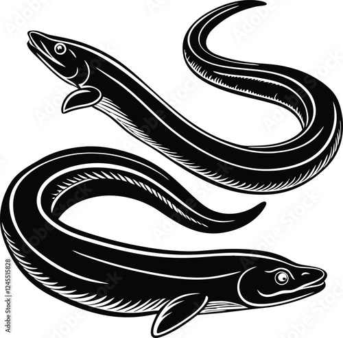 Beautiful Asian swamp eel vector art illustration