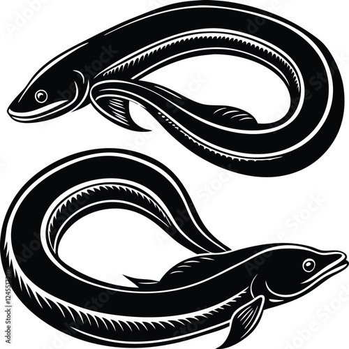 Beautiful Asian swamp eel vector art illustration