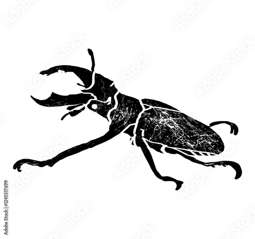 Hand drawn Stag Beetle. Vintage vector illustration textured
