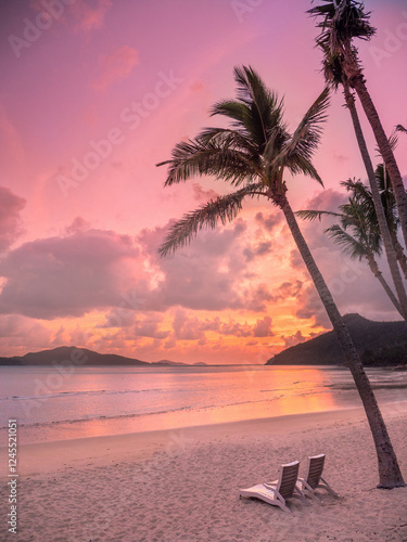 Sunrise between the palm trees at Hamilton Island in the Whitsundays