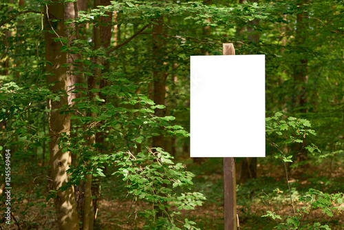 Obraz na płótnie White blank sign standing in a green forest w salonie