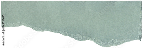 Wallpaper Mural Blue torn scrap cardboard, versatile background for collage, scrapbooking Torontodigital.ca