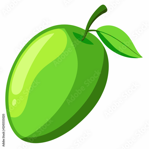 Green Mango Vector and illustration