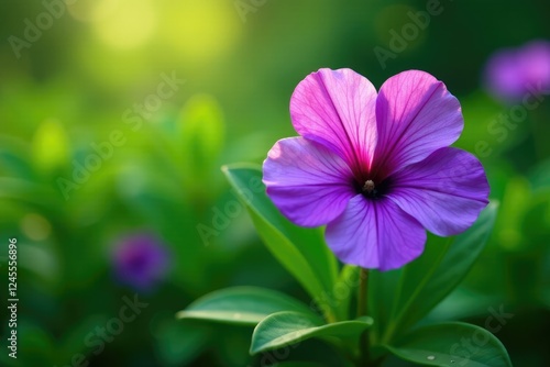 a stunning purple flower blooming in the midst of lush green foliage, plant life, garden blooms