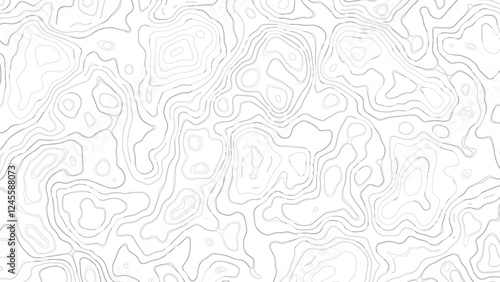 Seamless pattern with lines White wave paper curved reliefs abstract background, Abstract background vector black and white Seamless pattern wave lines Topographic map.