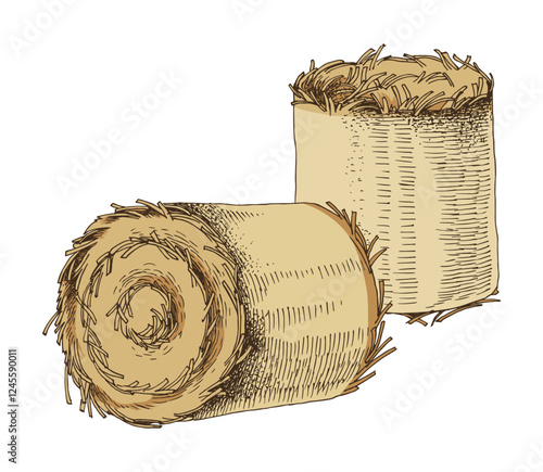 Hand drawn rolled haycock vector illustration