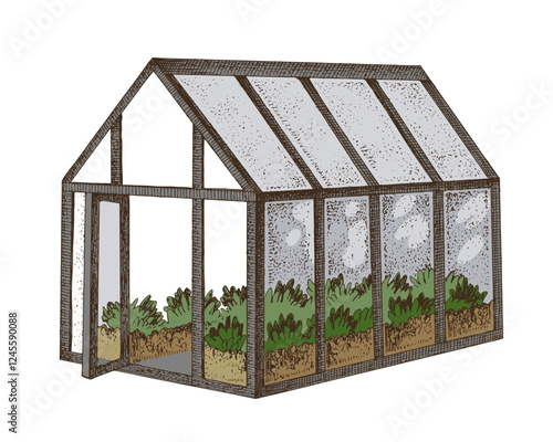 Greenhouse hand drawn vector illustration