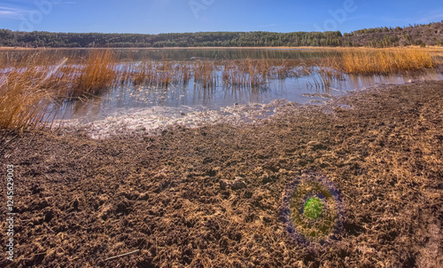 Shoreline of Stoneman Lake AZ photo