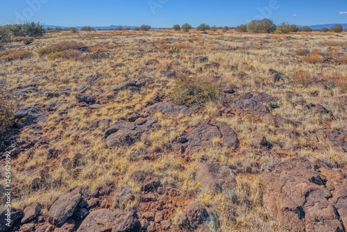 Rocky Prairie near Rarick Canyon AZ photo