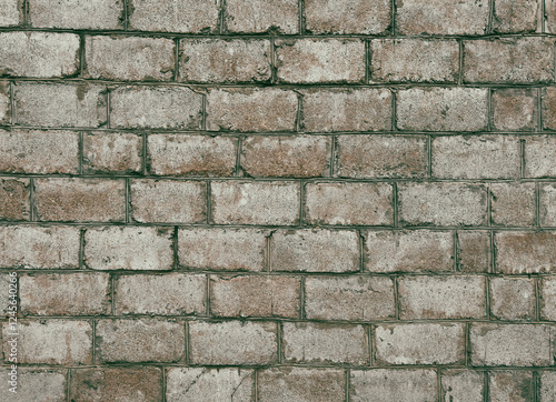 Wallpaper Mural A brick wall with a greenish tint Torontodigital.ca
