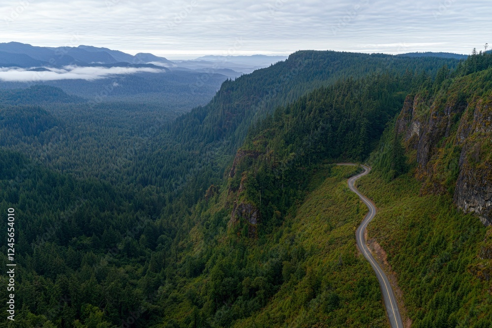Winding Road Through a Lush Green Mountain Forest Winding Road Through a Lush Green Mountain Forest