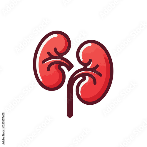 vector illustration of a red and white  kidney abstract background