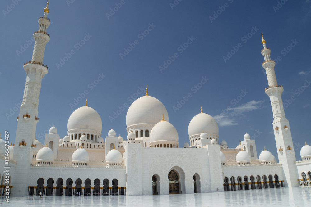 Fototapeta premium Beautiful view of the Sheikh Zayed Grand Mosque in Abu Dhabi, United Arab Emirates