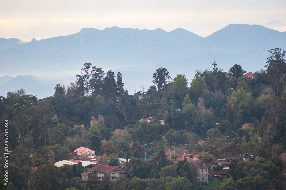 Lush greenery and cozy homes dot the landscape of Kodaikanal, with majestic mountains towering in the background during the quiet hours of dusk Lush greenery and cozy homes dot the landscape of Kodaikanal, with majestic mountains towering in the background during the quiet hours of dusk