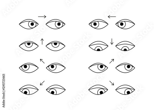 Exercises, workout for eyes of person, line set. Training eye muscles and relaxation for clear vision vision, stretching. Vision correction. Direction arrows. Vector illustration