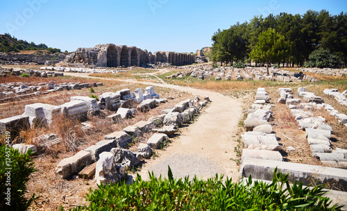 Ruins of the ancient Greek city of Perga. Antalya, Turkey photo