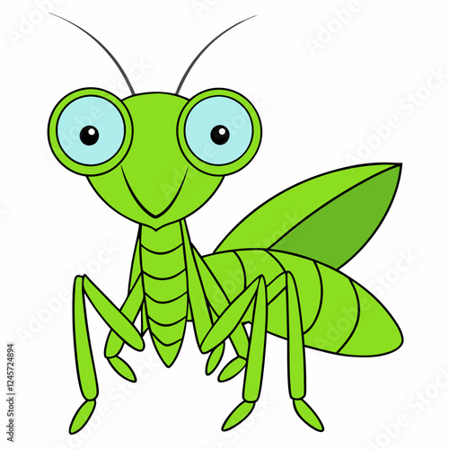 Praying Mantis Close-Up on White Background, High Resolution