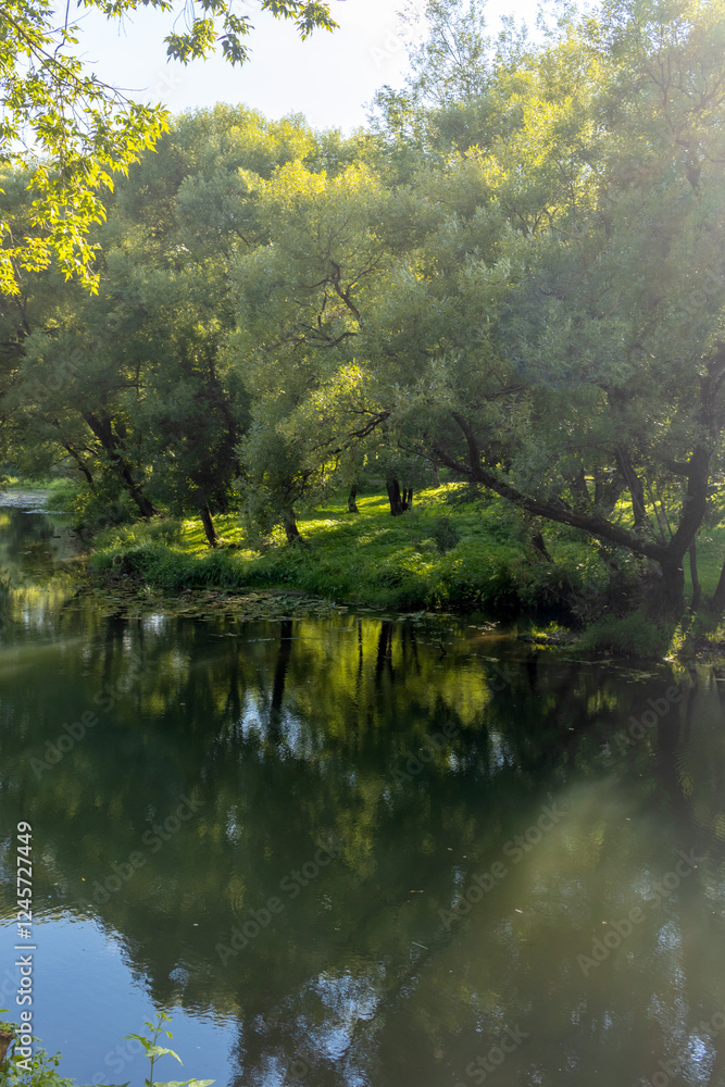 Picturesque forest landscape with trees and river in sunny haze. Beauty in nature Picturesque forest landscape with trees and river in sunny haze. Beauty in nature