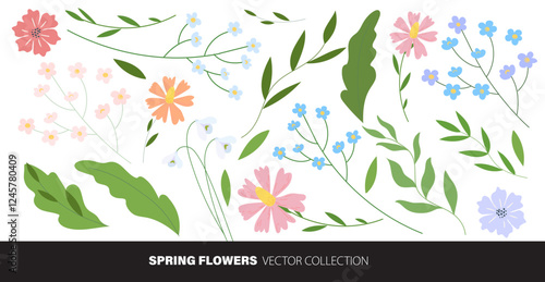 Spring Flowers Collection Set, Vector illustration