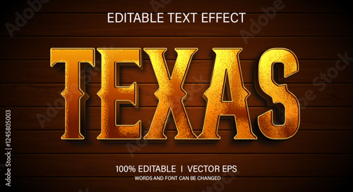 texas 3d vector text effect with modern style design