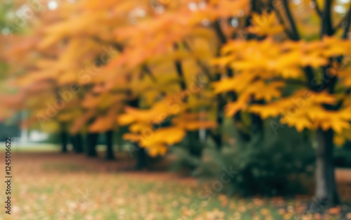 Autumn foliage creates a vibrant tapestry of color in a tranquil park setting photo