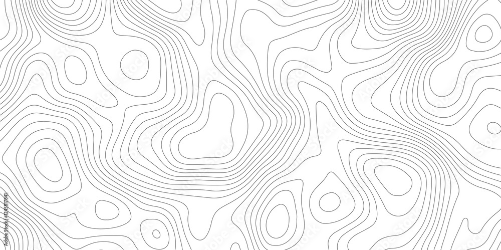 Abstract modern white and black topographic styles contour map wavy line, digital print terrain lines texture vector white background. Abstract modern white and black topographic styles contour map wavy line, digital print terrain lines texture vector white background.
