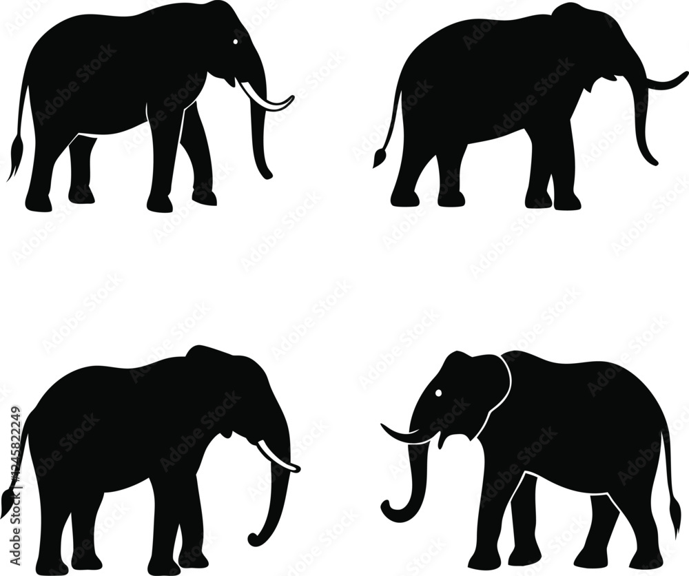 Fototapeta premium elephant silhouette vector style image