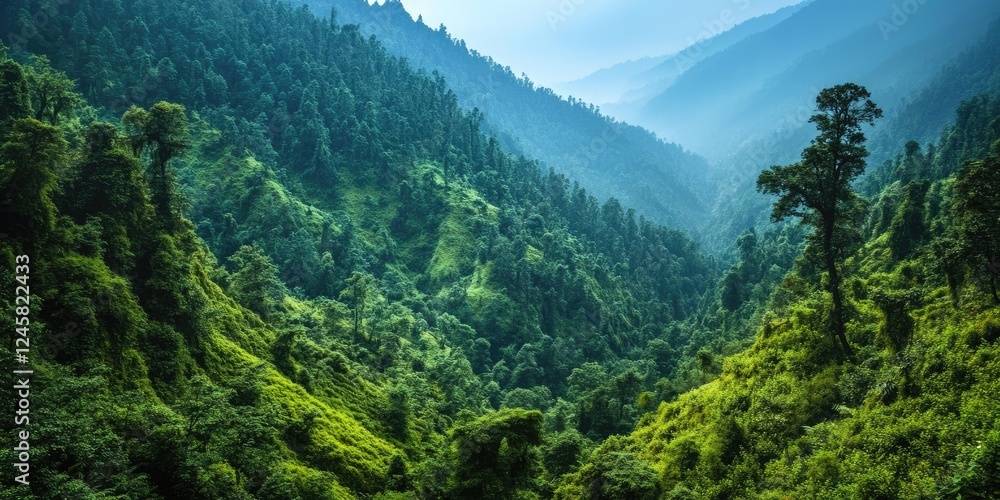 Fototapeta premium Lush green valley surrounded by mountains under soft blue sky with sunlight filtering through trees creating a tranquil natural landscape.